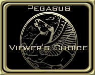 Viewer's Choice Award